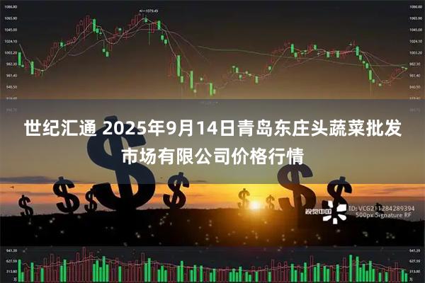 世纪汇通 2025年9月14日青岛东庄头蔬菜批发市场有限公司价格行情