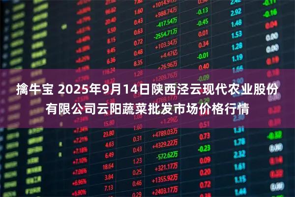擒牛宝 2025年9月14日陕西泾云现代农业股份有限公司云阳蔬菜批发市场价格行情