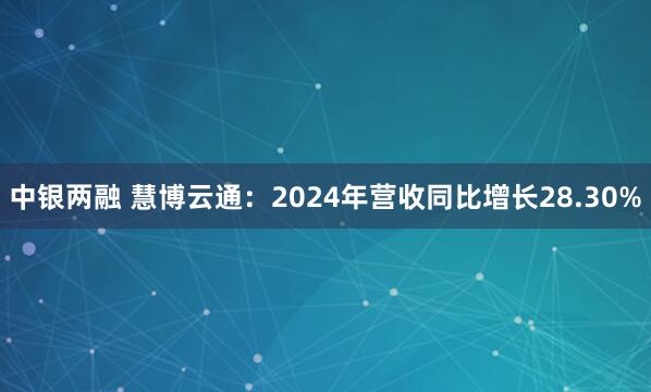 中银两融 慧博云通：2024年营收同比增长28.30%