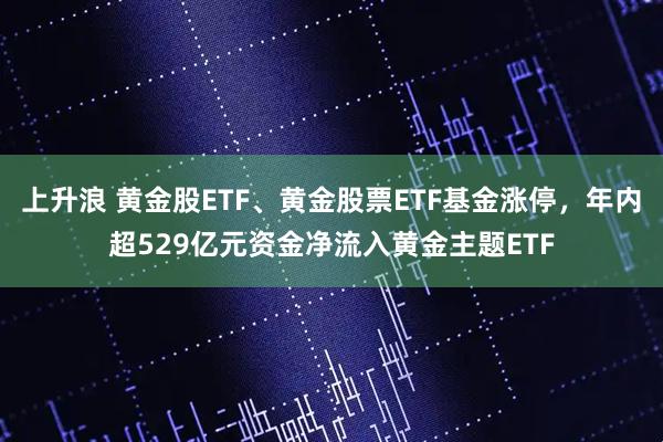 上升浪 黄金股ETF、黄金股票ETF基金涨停，年内超529亿元资金净流入黄金主题ETF
