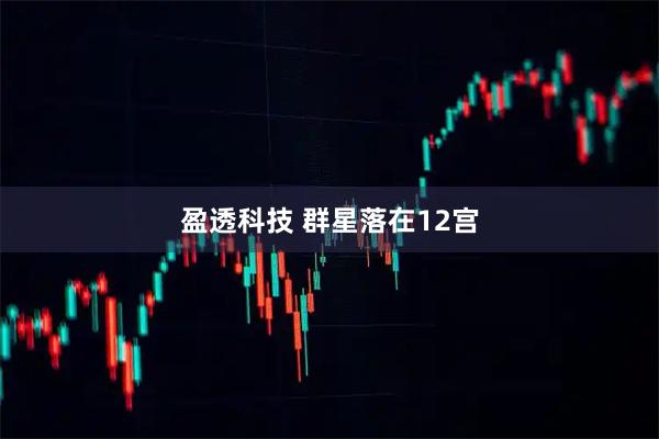 盈透科技 群星落在12宫